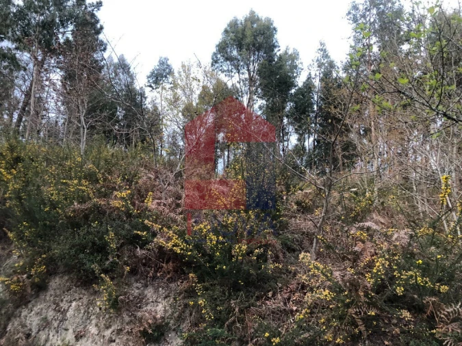Terreno para Venda em Sande, Vilarinho, Barros e Gomide Foto 4