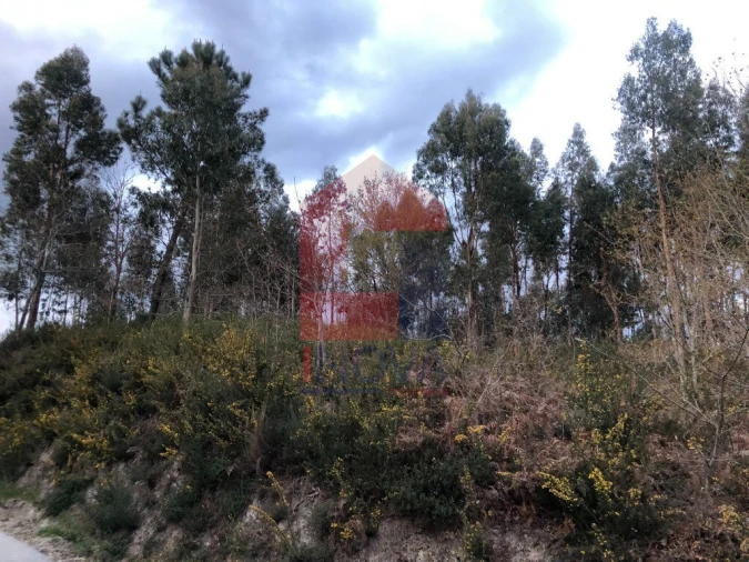 Terreno para Venda em Sande, Vilarinho, Barros e Gomide Foto 5