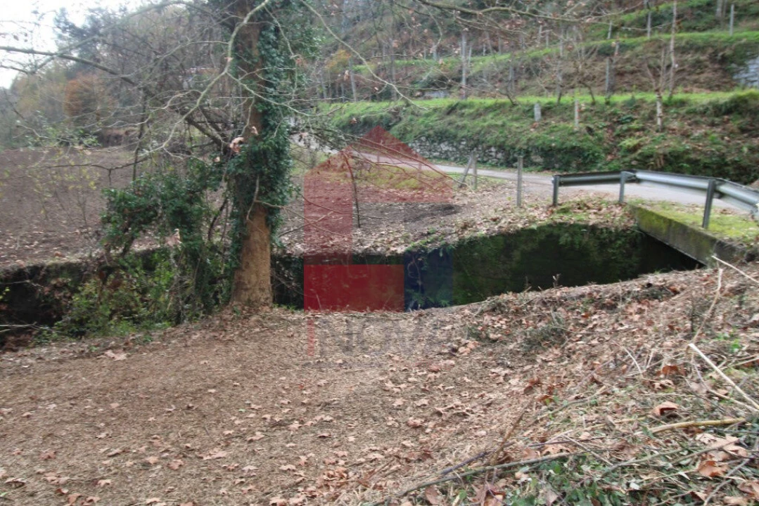 Terreno para Venda em Oriz (Santa Marinha) e Oriz (São Miguel) Foto 6