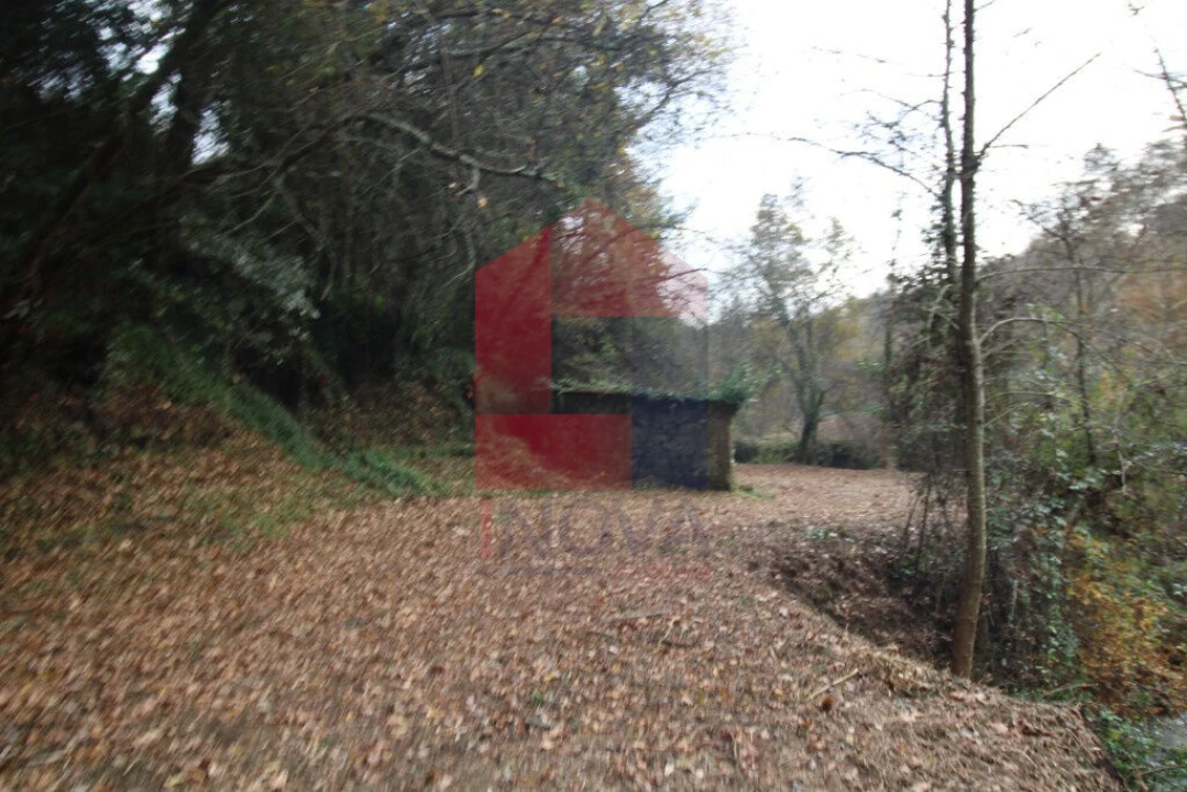 Terreno para Venda em Oriz (Santa Marinha) e Oriz (São Miguel) Foto 7