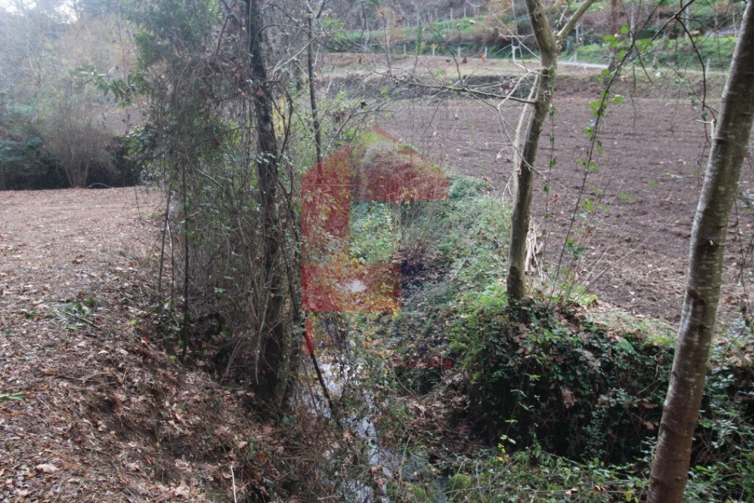 Terreno para Venda em Oriz (Santa Marinha) e Oriz (São Miguel) Foto 9