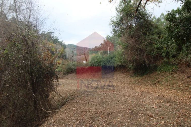 Terreno para Venda em Oriz (Santa Marinha) e Oriz (São Miguel) Foto 5