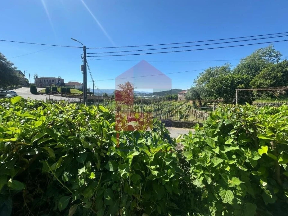 Terreno para Venda em Pico de Regalados, Gondiães e Mós Foto 18