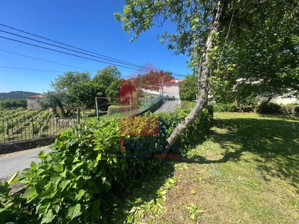Terreno para Venda em Pico de Regalados, Gondiães e Mós Foto 9