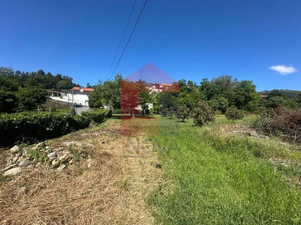 Terreno para Venda em Pico de Regalados, Gondiães e Mós Foto 14