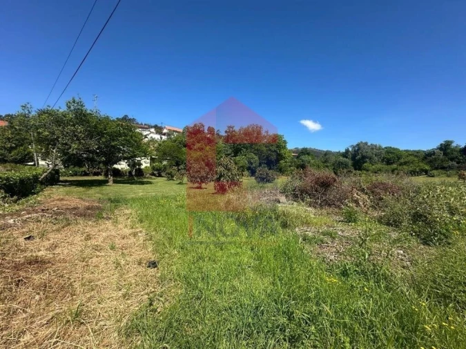 Terreno para Venda em Pico de Regalados, Gondiães e Mós Foto 13