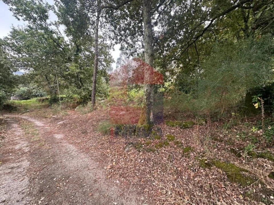 Terreno para Venda em Verim, Friande e Ajude Foto 26