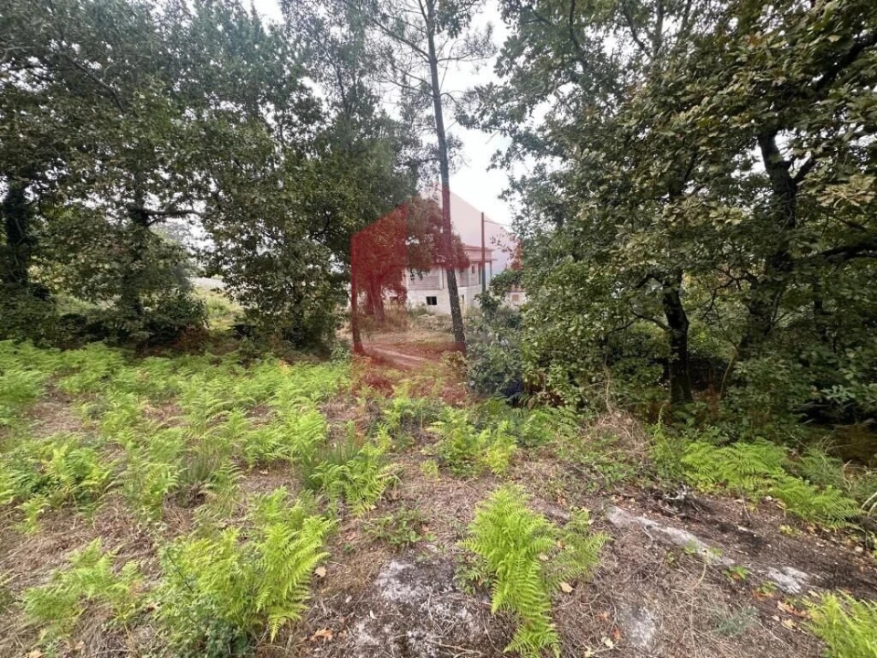 Terreno para Venda em Verim, Friande e Ajude Foto 16