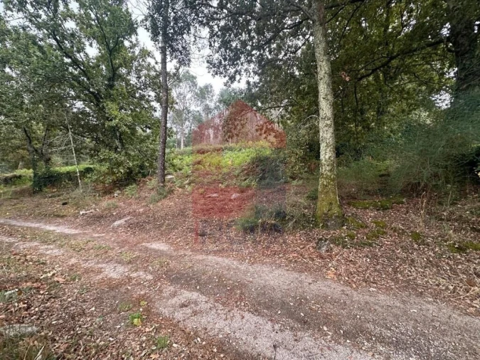 Terreno para Venda em Verim, Friande e Ajude Foto 27