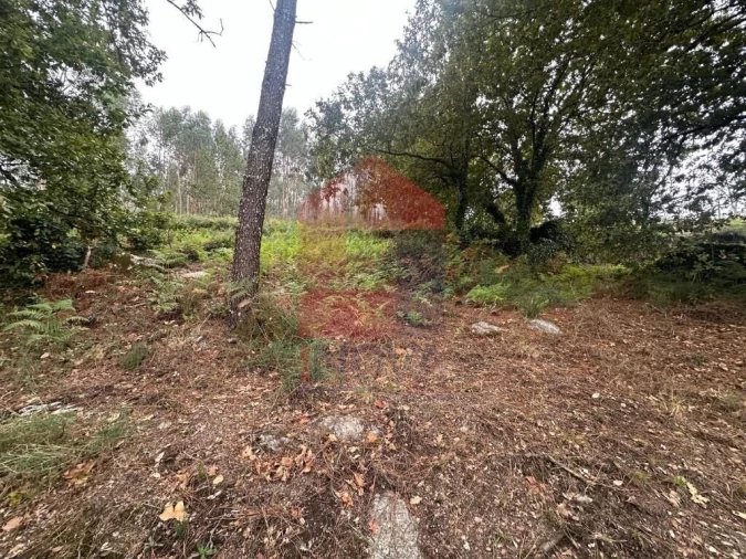 Terreno para Venda em Verim, Friande e Ajude Foto 13