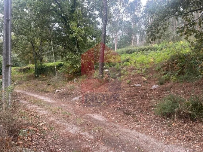 Terreno para Venda em Verim, Friande e Ajude Foto 25