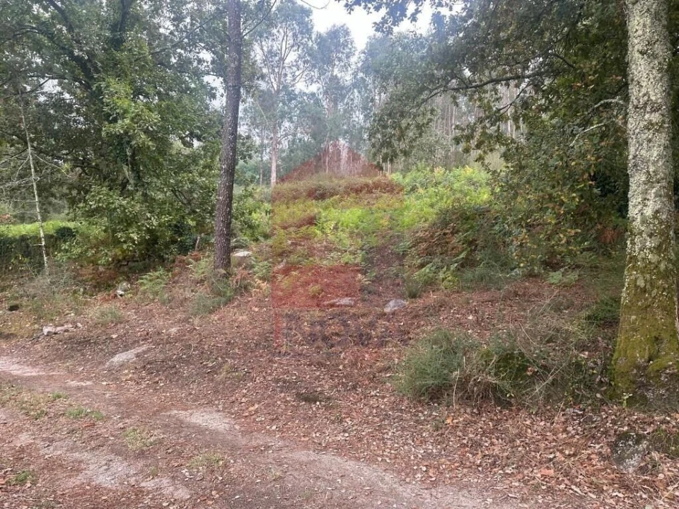 Terreno para Venda em Verim, Friande e Ajude Foto 28