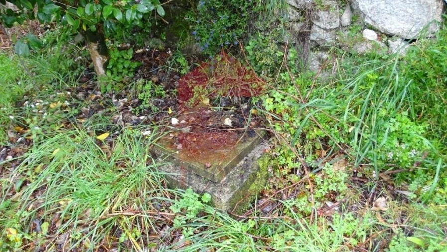 Moradia T1 para Venda em Sande, Vilarinho, Barros e Gomide Foto 22