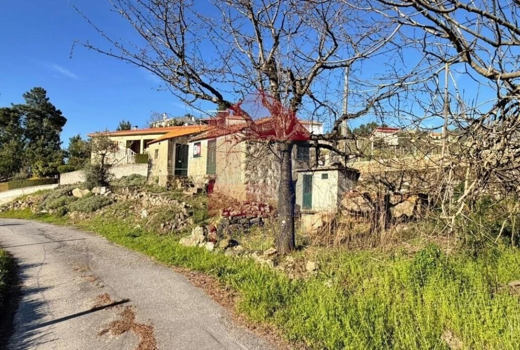 Moradia T0 para Venda em Freigil e Miomães Foto 16