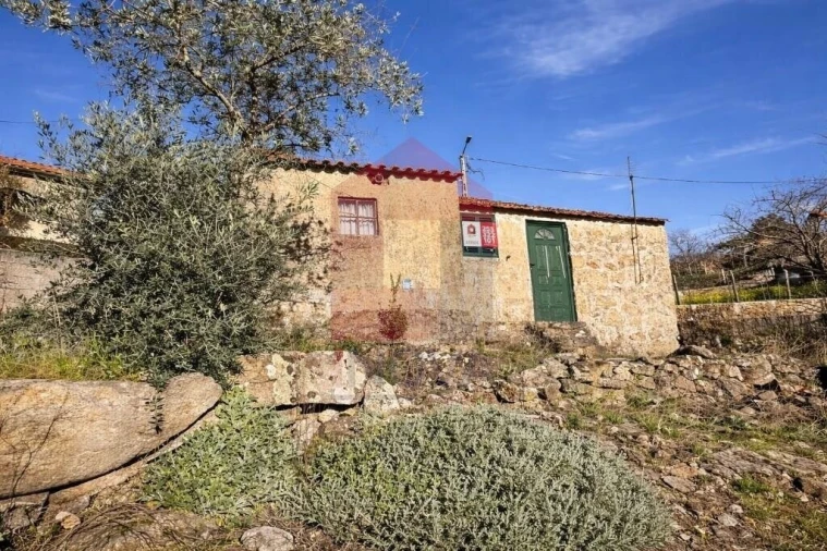 Moradia T0 para Venda em Freigil e Miomães Foto 3