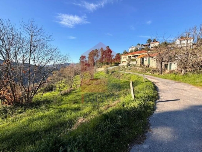 Moradia T0 para Venda em Freigil e Miomães Foto 14