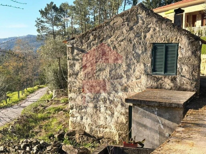 Moradia T0 para Venda em Freigil e Miomães Foto 4