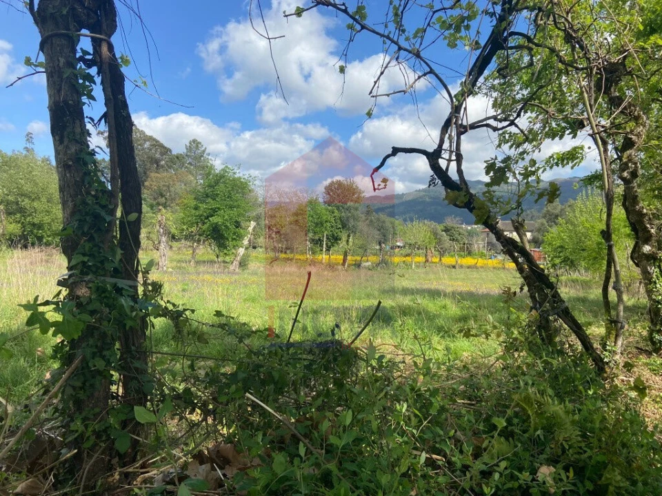 Terreno para Venda em Oriz (Santa Marinha) e Oriz (São Miguel) Foto 6