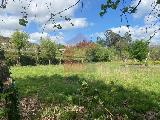 Terreno para Venda em Oriz (Santa Marinha) e Oriz (São Miguel) Foto 2