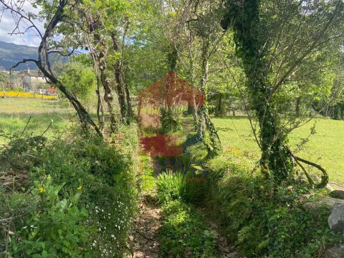 Terreno para Venda em Oriz (Santa Marinha) e Oriz (São Miguel) Foto 4