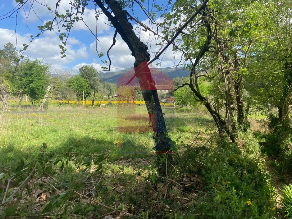 Terreno para Venda em Oriz (Santa Marinha) e Oriz (São Miguel) Foto 3