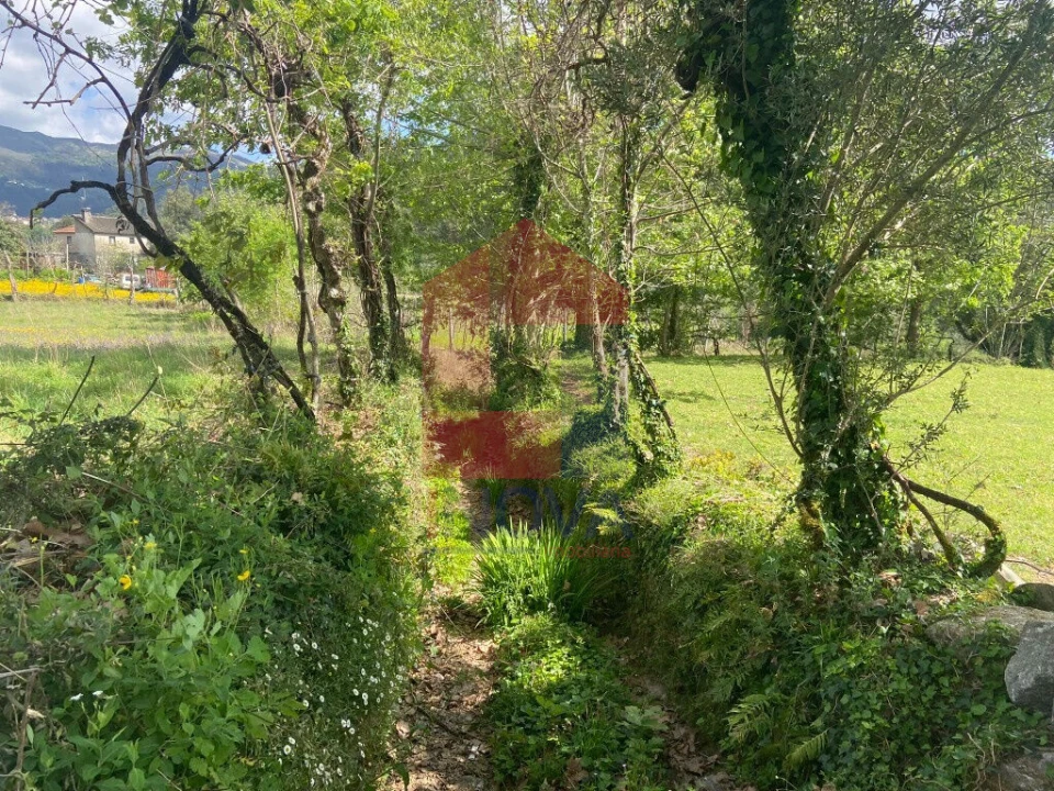Terreno para Venda em Oriz (Santa Marinha) e Oriz (São Miguel) Foto 4