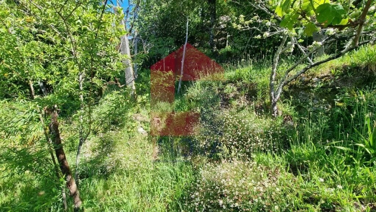 Moradia T1 para Venda em Cibões e Brufe Foto 22