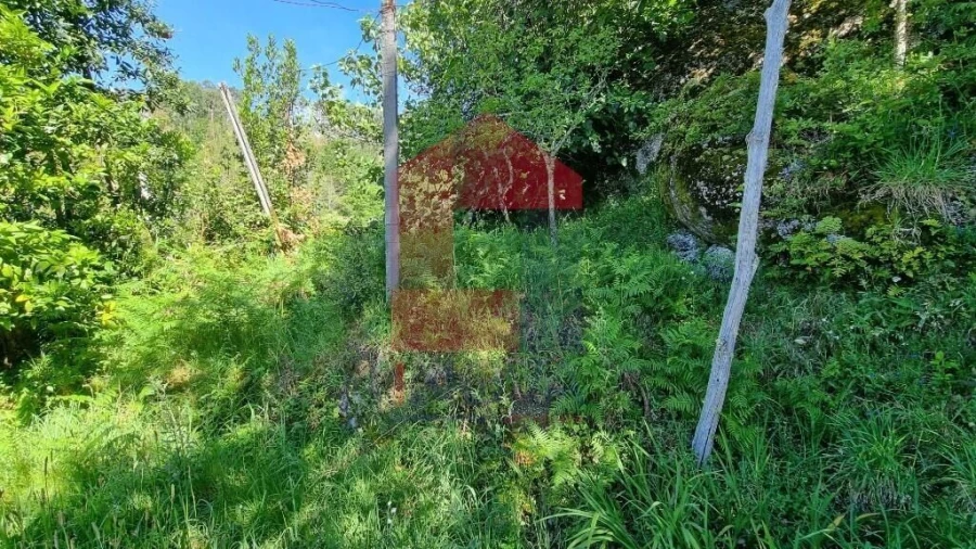 Moradia T1 para Venda em Cibões e Brufe Foto 23