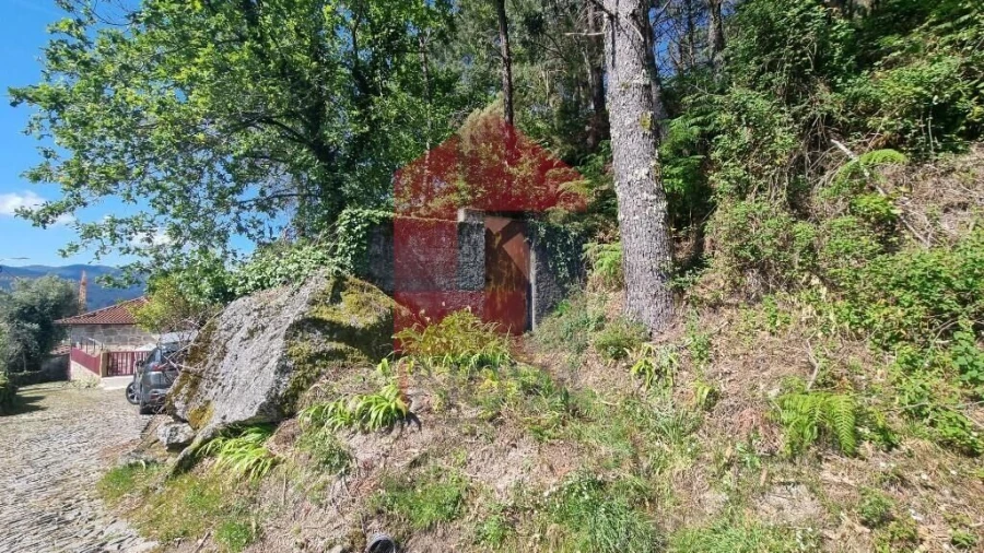 Moradia T1 para Venda em Cibões e Brufe Foto 34