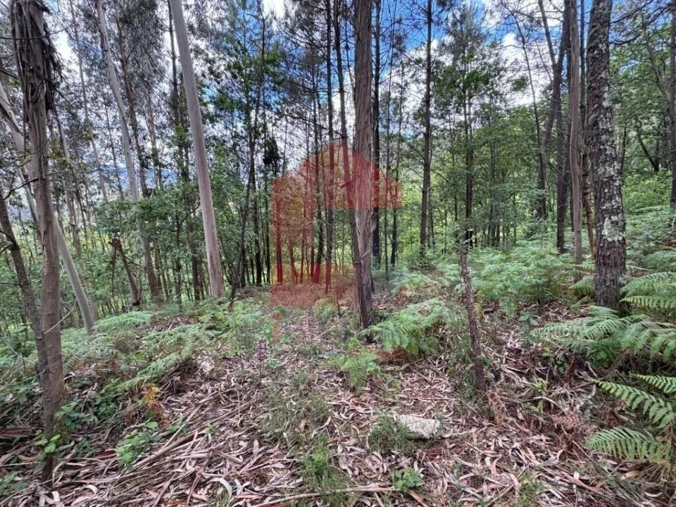 Terreno para Venda em Sande, Vilarinho, Barros e Gomide Foto 7