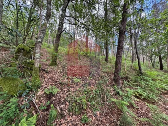 Terreno para Venda em Sande, Vilarinho, Barros e Gomide Foto 1