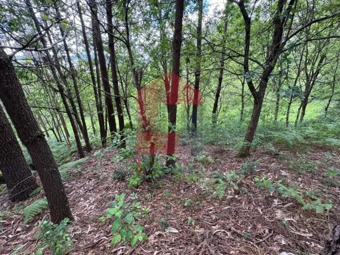 Terreno para Venda em Sande, Vilarinho, Barros e Gomide Foto 3