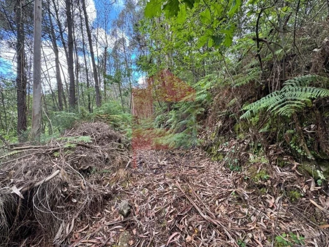 Terreno para Venda em Sande, Vilarinho, Barros e Gomide Foto 10