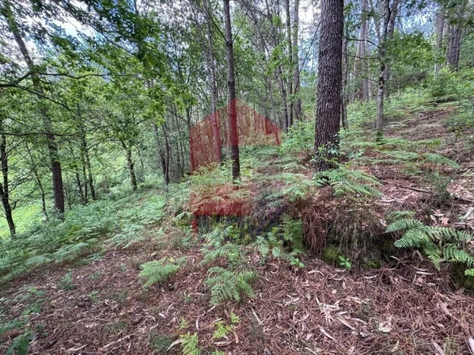Terreno para Venda em Sande, Vilarinho, Barros e Gomide Foto 4