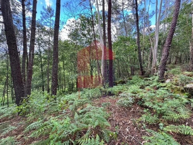 Terreno para Venda em Sande, Vilarinho, Barros e Gomide Foto 9