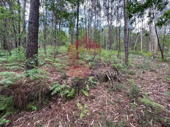 Terreno para Venda em Sande, Vilarinho, Barros e Gomide Foto 5