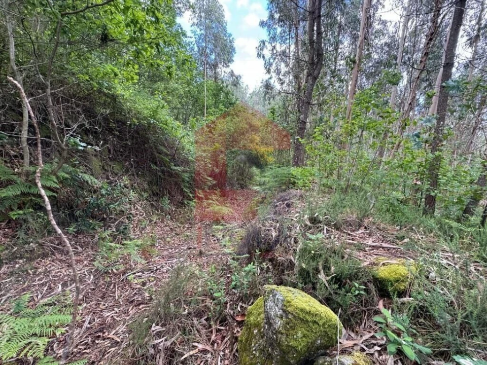 Terreno para Venda em Sande, Vilarinho, Barros e Gomide Foto 11