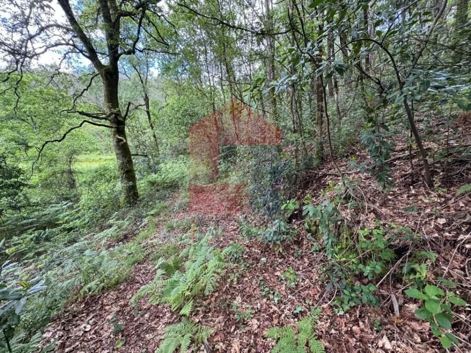 Terreno para Venda em Sande, Vilarinho, Barros e Gomide Foto 2
