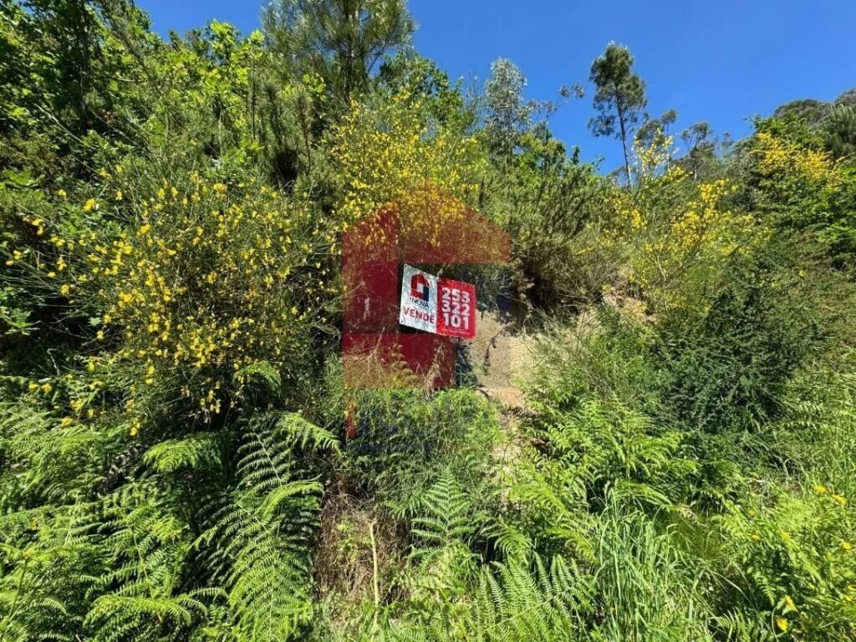 Terreno para Venda em Sande, Vilarinho, Barros e Gomide Foto 1