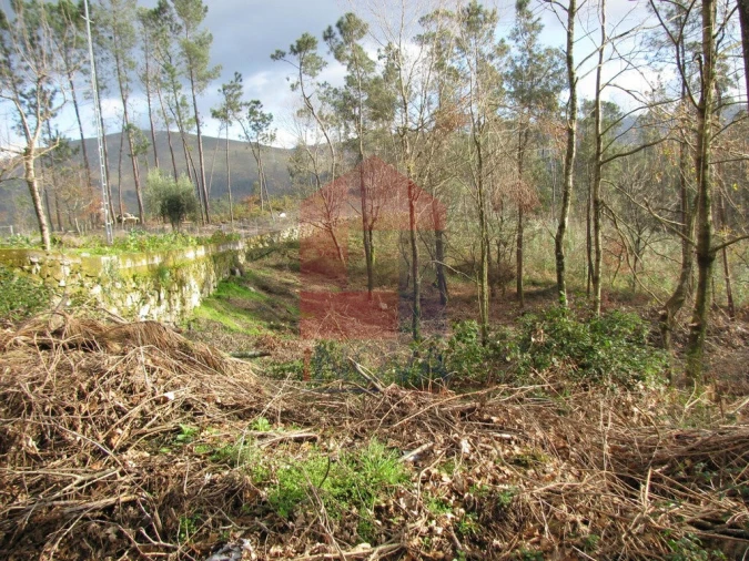 Terreno para Venda em Oriz (Santa Marinha) e Oriz (São Miguel) Foto 1