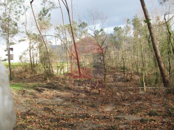 Terreno para Venda em Oriz (Santa Marinha) e Oriz (São Miguel) Foto 2