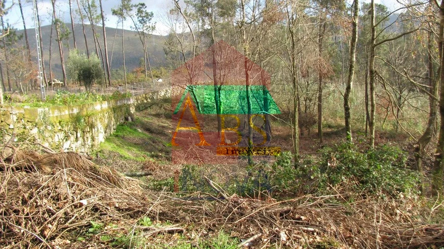 Terreno para Venda em Oriz (Santa Marinha) e Oriz (São Miguel)