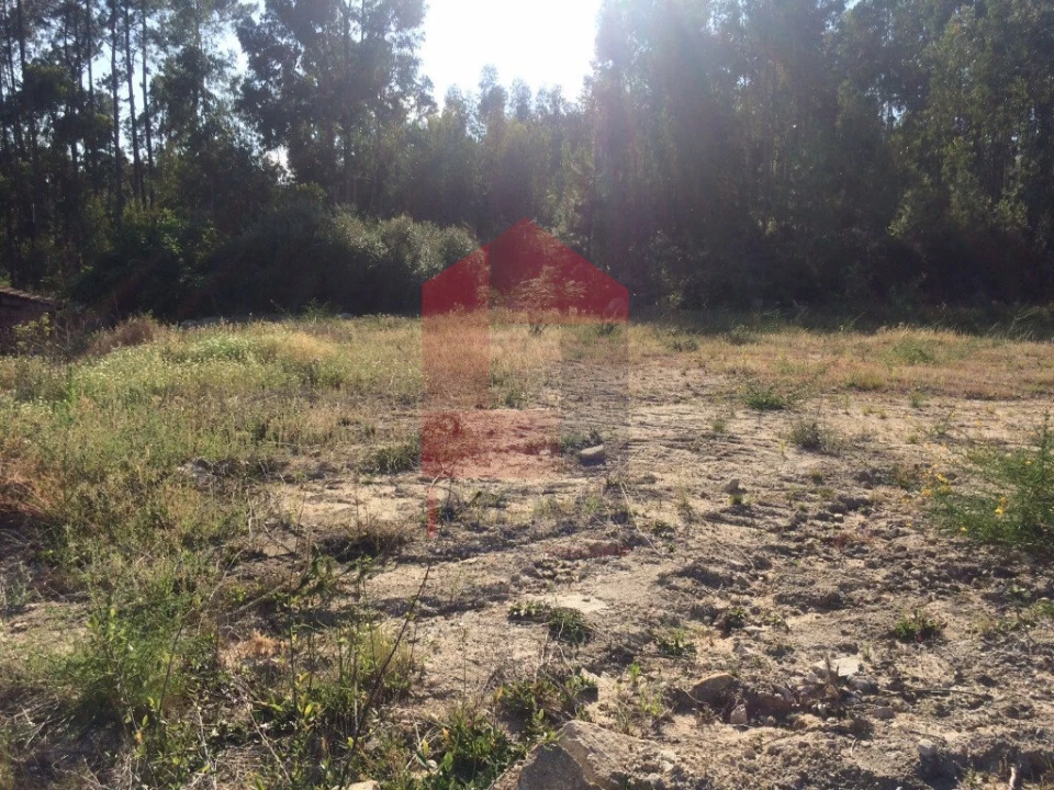 Terreno para Venda em Pico de Regalados, Gondiães e Mós Foto 3