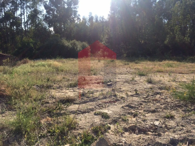 Terreno para Venda em Pico de Regalados, Gondiães e Mós Foto 3