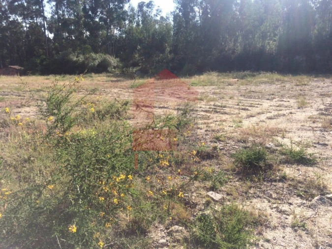 Terreno para Venda em Pico de Regalados, Gondiães e Mós Foto 2