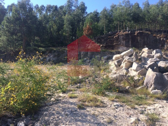 Terreno para Venda em Pico de Regalados, Gondiães e Mós Foto 1