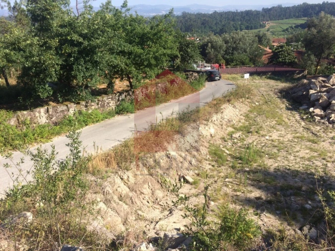 Terreno para Venda em Pico de Regalados, Gondiães e Mós Foto 5