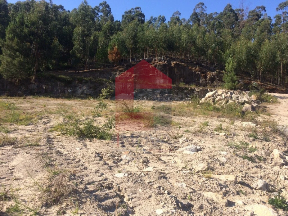 Terreno para Venda em Pico de Regalados, Gondiães e Mós Foto 4