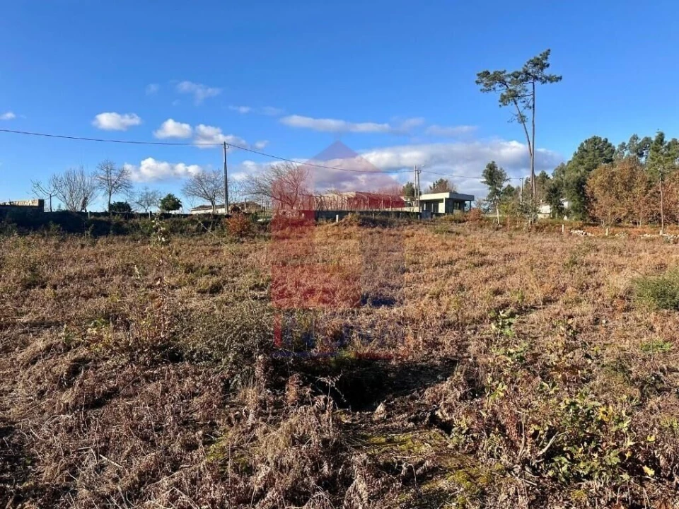 Terreno para Venda em Alheira e Igreja Nova Foto 6