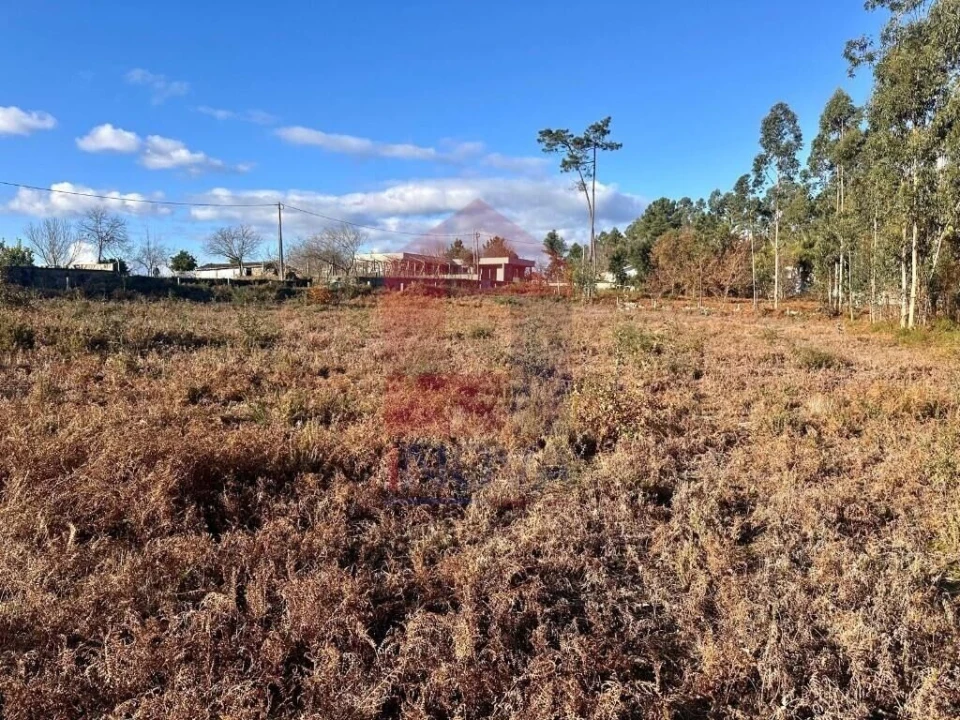 Terreno para Venda em Alheira e Igreja Nova Foto 5